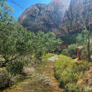 Daniel Lissing Instagram - I had an amazing trip with my mate @5eigenthaler to @zionnps ... The pictures don’t do this beautiful place in the world justice... but you get the idea 😉
