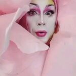 Daniel Wallace Instagram - So i was asked to go #greenforpride by @hellohubbub and @lgbtfdn and i did it just in time for #Brightonpride this coming weekend!'ll probably recycle some lewks for #Manchesterpride too because thats what its all about isn't it?Resusing and recycling in fun inventive ways!And when i look this good why wouldn't i?!Im saying no to fast fashion and and getting creative with my recycling!We can save the planet in lots of different ways and im doing it through the medium of drag!Join me!Have fun and Happy #Pride 💚💚💚