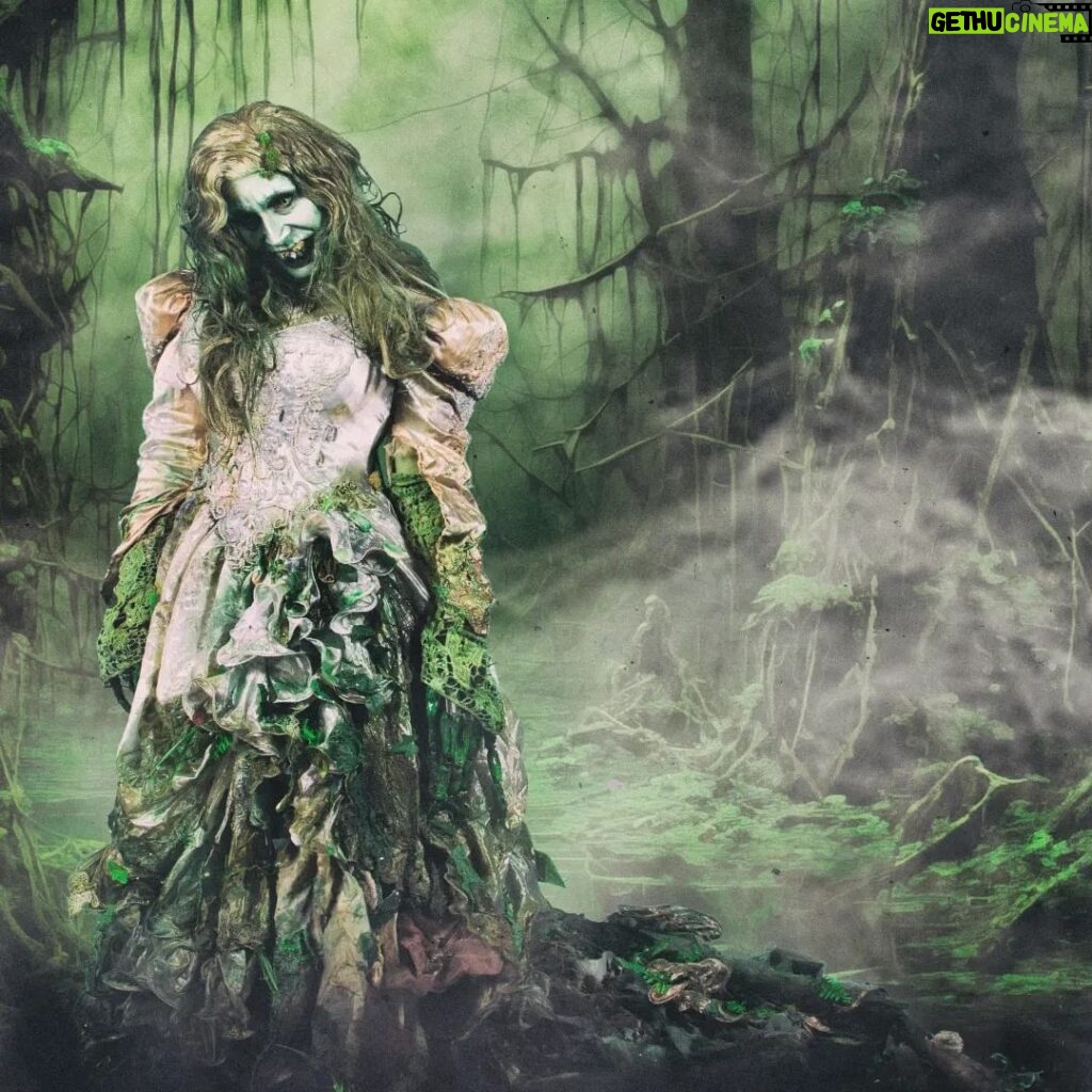 Daniel Wallace Instagram - TERROR IN THE WOODS With this floorshow I wanted to call upon folklore and stories of old...and bring a little bit of Lancashire with me across the pond. Jenny Greenteeth a.ka Wicked Jenny is a figure from folklore, a river hag.she would often drag children and the elderly into the water to drown them.She would sometimes be found in the branches of trees singing her song.... she is described as having long hair,long fingers,green skin and sharp teeth... The name is also used to describe duckweed which forms a green mat on top of the water making it look like grass(potentially treacherous and misleading to children) It was a real labour of love and team effort and I spent (possibly too long) dying pieces of lace to use as moss,ageing up and weathering the dress...covering in liquid latex and adding bits of the forest that she had pulled with her from the lake) Many thanks to @liquorice_black who helped me clean up,actually demould( before adding fake mould) and put together an old wedding dress that had had many other incarnations previously 🖤 @lourobs who helped with platting weeds and stoning 💚 @shortforjacket who helped 'muddying up Jenny's slippers 🤎 @Cheddargorgeous for donating some plastic shrubbery 💙 And of course @Florenciawigs who styled jenny luscious locks 🤍 Picture Snapped by ever talented @faketrashstudio 🫀