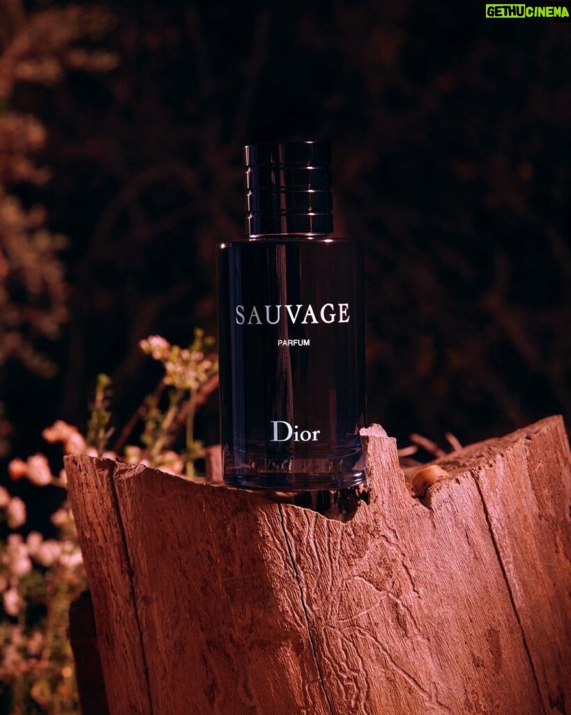 Danny Ramirez Instagram - Answering the call of the fire with Sauvage Parfum #MYSAUVAGECALL #DIORSAUVAGE
