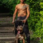 Danny Roberts Instagram - Dog eat dog world cc @centralbulliesliverpool 🐺🌍 #UFC #UFCEurope #MMA #MixedMartialArts #Fighter #Warrior #Combat #CombatSports #XLBullies #BullyBreed #Bullies Liverpool