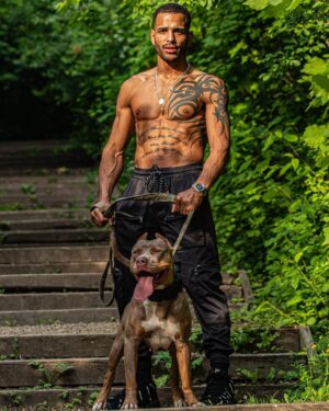 Danny Roberts Instagram - Dog eat dog world cc @centralbulliesliverpool 🐺🌍 #UFC #UFCEurope #MMA #MixedMartialArts #Fighter #Warrior #Combat #CombatSports #XLBullies #BullyBreed #Bullies