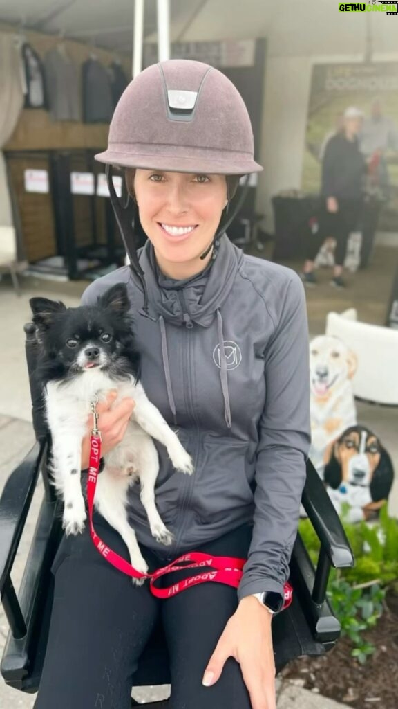 Danny Robertshaw Instagram - ADOPTED! Precious PEPPER found her forever home with Danielle Menker! Another #perfectmatch from Danny & Ron’s Rescue. #alifetimepromise #foreverhome #dannyronsrescue Wellington International