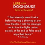 Danny Robertshaw Instagram - #DannyRonsRescue #LifeInTheDoghouseMovie