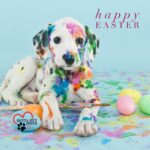 Danny Robertshaw Instagram - Happy Easter 🐰🐣🐇