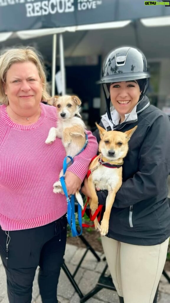 Danny Robertshaw Instagram - First dog adoption of 2024! Thank you Jolie and Ally for adopting puppy HOPSCOTCH in 2023 and coming back to adopt his mother, CANELA —- our first official adoption of 2024! That makes FOUR Danny & Ron’s Rescue dogs in your family pack! 🐶 🐶 🐶 🐶 #adoptlove❤️ #alifetimepromise #DannyRonsRescue Wellington International