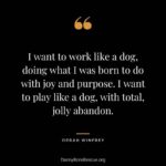 Danny Robertshaw Instagram - . . . . #alifetimepromise #dannyronsrescue #adoptlove #perfectmatch #foreverhome #lifeinthedoghousemovie #spayneuteradoptlove❤️