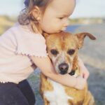 Danny Robertshaw Instagram - Best Friends ❤️ COOPER was adopted in 2013 from Danny & Ron's Rescue. He's now 10+ years old and devoted to his coming 2-year-old little mistress, Taylor. #ALifetimePromise #PerfectMatch #dannyronsrescue