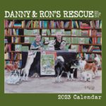 Danny Robertshaw Instagram - ORDER FOR THE HOLIDAYS! Great stocking stuffer! The 2023 edition of our beautiful 12-month calendar features photos and stories of some of the many dogs rescued by Danny & Ron’s Rescue. All proceeds from the sale of this calendar will be used to help Danny & Ron’s Rescue, a 501(c)(3) nonprofit organization whose mission is to help homeless dogs find loving families to adopt them. ORDER CALENDAR >>> Link in Bio!