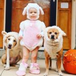 Danny Robertshaw Instagram - 3 Little 🐑 🐑 🐑 Taylor and her best buds Gracie and Cooper adopted from Danny & Ron’s Rescue.