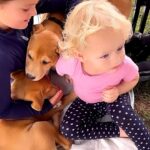 Danny Robertshaw Instagram - Puppy Love 🐶 at the Upperville Colt & Horse Show. @dannyronsrescue Upperville Show Grounds