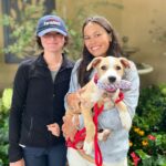 Danny Robertshaw Instagram - We're celebrating a successful Danny & Ron's Rescue Adoption Event at the Blowing Rock Charity Horse Show where 8 of our sweet dogs found their new forever families! #alifetimepromise #perfectmatch #DannyRonsRescue #rescuedogsofinstagram