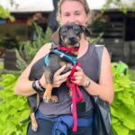 Danny Robertshaw Instagram - We're celebrating a successful Danny & Ron's Rescue Adoption Event at the Blowing Rock Charity Horse Show where 8 of our sweet dogs found their new forever families! #alifetimepromise #perfectmatch #DannyRonsRescue #rescuedogsofinstagram