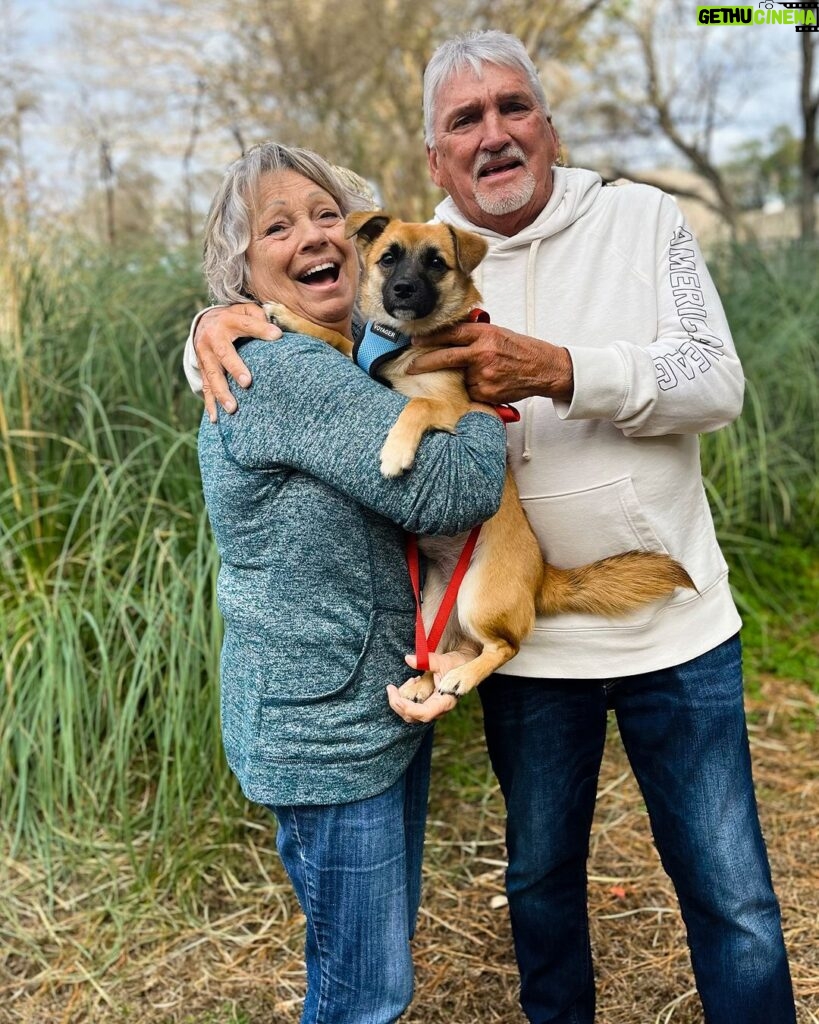 Danny Robertshaw Instagram - Adopted!! How much do you love this photo? Sweet Noah found his Forever Home with Janice and Ray Stevens. The perfect trio! . #dannyronsrescue #foreverhome #adoptlove❤️