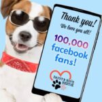 Danny Robertshaw Instagram - Danny & Ron’s Rescue is celebrating 🥳 a milestone with 100,000 Facebook fans 🙌 (plus over 1,770 5-star reviews!) THANK YOU 😘 for your enthusiastic support of our mission and rescue efforts!🎉 We love you all! ❤️