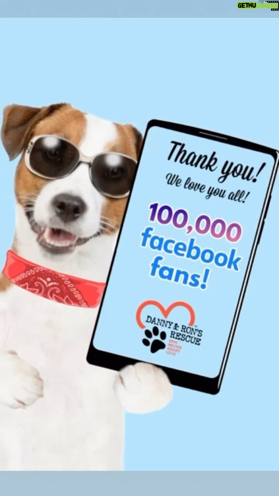 Danny Robertshaw Instagram - Danny & Ron’s Rescue is celebrating 🥳 a milestone with 100,000 Facebook fans 🙌 (plus over 1,770 5-star reviews!) THANK YOU 😘 for your enthusiastic support of our mission and rescue efforts!🎉 We love you all! ❤️