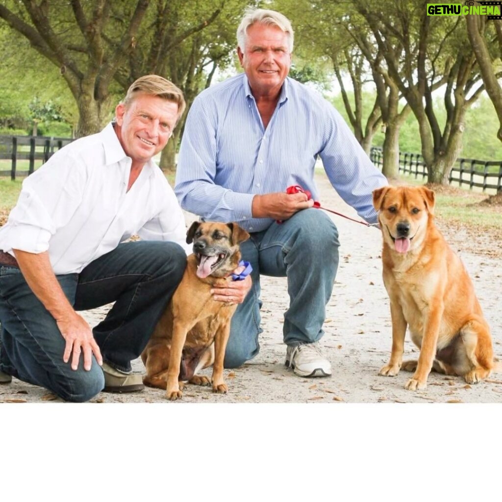 Danny Robertshaw Instagram - MARK YOUR CALENDARS! Join us on Tuesday, November 14th at 2PM EST for a KONG webinar, “The Power and Importance of Social Play for Sheltered Dogs” Hosted by Danny & Ron’s Rescue Danny and Ron will talk about how they use enrichment through play at their rescues with all different types, ages, and breeds of dogs that come from all over. They will also go over why play is so important for sheltered dogs. Pre-Register via this link: https://bit.ly/KongWebinar