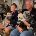 Danny Robertshaw Instagram - Danny & Ron 🐶 🐶 🐶. . . #rescuedogsofinstagram