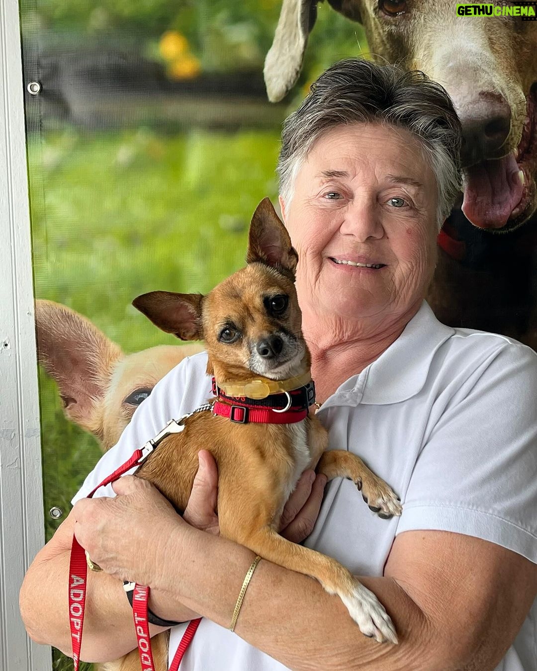 Danny Robertshaw - 542 Likes - Smiling happy adopters and their new four-legged family members! Perfect matches made during our Danny & Ron’s Rescue WEF Adoption Event continuing through March 31st.
#adoptlove #dannyronsrescue #alifetimepromise #rescuedogsofinstagram