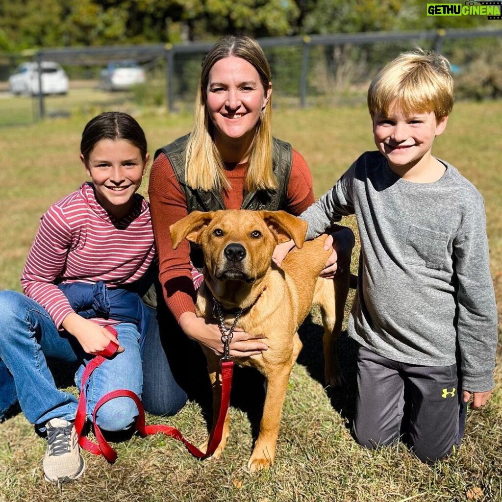 Danny Robertshaw Instagram - Adopted! 🎉 Spanky, Trevor, Hutch, and Trystan & Beverly found wonderful homes with loving families! 🏡 ❤️ #adoptlove #alifetimepromise #dannyronsrescue #foreverhome #rescuedogs