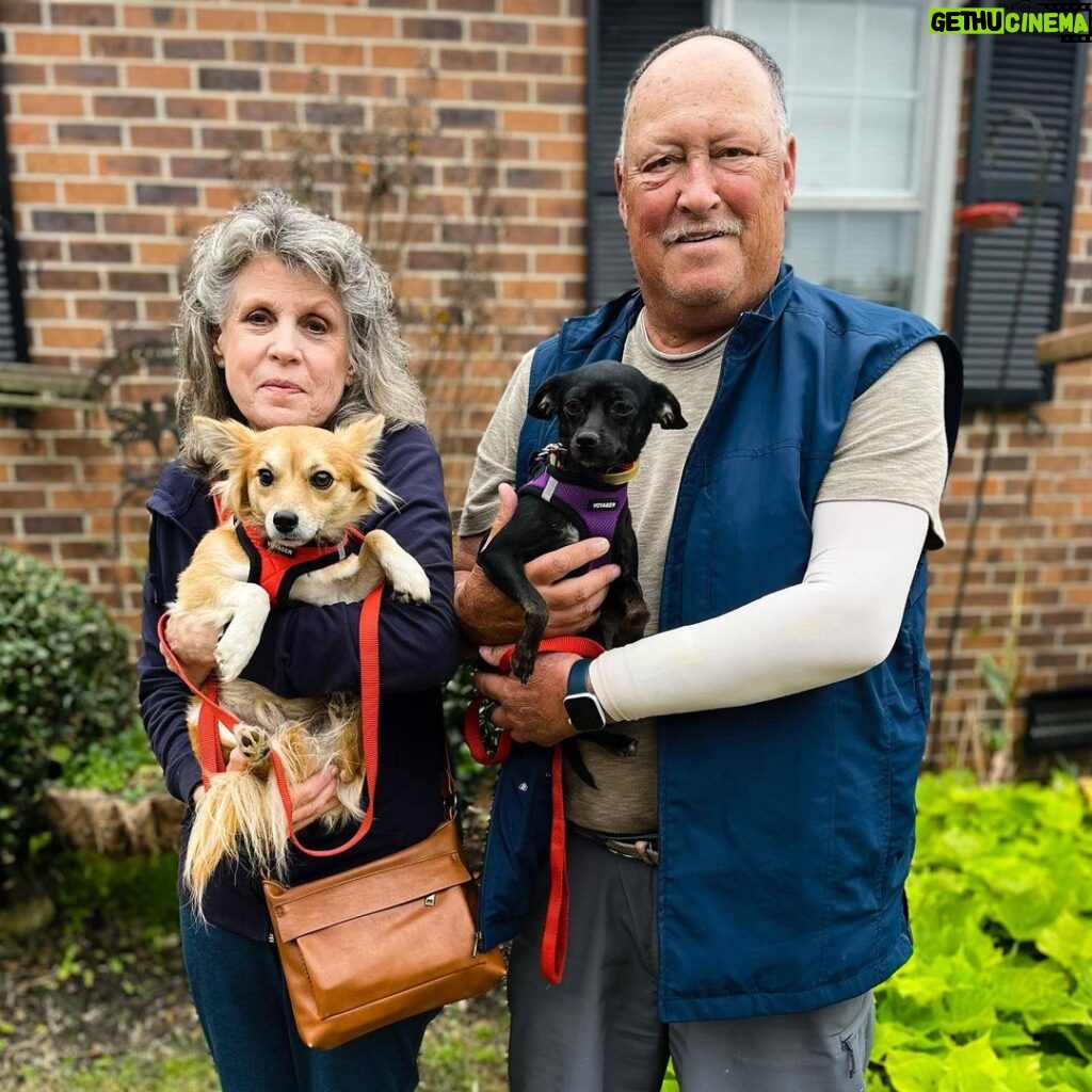 Danny Robertshaw Instagram - Adopted! 🎉 Spanky, Trevor, Hutch, and Trystan & Beverly found wonderful homes with loving families! 🏡 ❤️ #adoptlove #alifetimepromise #dannyronsrescue #foreverhome #rescuedogs