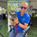 Danny Robertshaw Instagram - ADOPTED! Little Miss MACIE GRAY our purebred French Bulldog found her forever person during our adoption event! Joe Englevt met and adopted Macey at the Aiken Fall Classic Horse Show. MACIE's prior owner surrendered her to Danny & Ron's Rescue in January 2023 due to ongoing issues with incontinence after she had an accident. She has much better control and is ready for the perfect home! #ALifetimePromise
