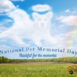 Danny Robertshaw Instagram - #NationalPetMemorialDay “What we have once enjoyed we can never lose; all that we have loved deeply, becomes a part of us.” –Helen Keller Pets are not only our companions, pets become part of our family, too. When we lose a beloved pet, the pain is genuine. Whether furry, feathered, or an uncommon variety, the loss is felt deeply. They become family and a familiar part of our lives. Everyone mourns differently to cope with their grief. To honor your beloved pet, we invite you to leave a photo and/or story in the comments below. #NationalPetMemorialDay