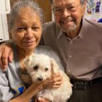 Danny Robertshaw Instagram - ADOPTED! Perfect little PRETTY GIRL (Now named "Priti") flew all the way from SC to Michigan last night to meet her forever people! Congratulations to Siddharth and Kumud Sanghvi on the new sweet addition to their family! Pretty Girl came to Danny & Ron's Rescue in June, along with 8 other Maltese/Poodle mixes saved from the same hoarding situation. All dogs arrived in poor shape and needed grooming, veterinary care, and lots of love.