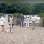 Danny Robertshaw Instagram - Celebrating Adopted Dog #14,000 🐶 Thank you to Kim & Scot Hunniford and their children, Sophie and Ben for adopting sweet ISABELLA! Blowing Rock Horse Show