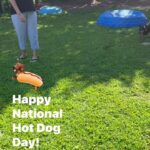 Danny Robertshaw Instagram - Adopted! OPIE is excited to meet his new family! #NationalHotDogDay #DannyRonsRescue #AdoptLove #ALifetimePromise