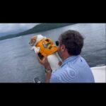 Danny Robertshaw Instagram - LUIGI, a Danny & Ron’s Rescue alumni, enjoying Lake Placid. Lake Placid, New York