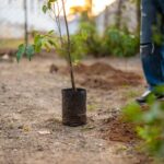 Darshan Raval Instagram - A new ritual. Will try and plant trees as much as i can ❤️🌍 Thank you @chouhanshivrajsingh sir for inspiring me 🤗 #prebirthdaycelebration