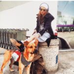 Daveigh Chase Instagram - Stay Above The Clouds #travelright #servicedog #specialbear 😍 Washington Dulles International Airport