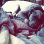 Daveigh Chase Instagram – Shes a real gem, our little diamond.