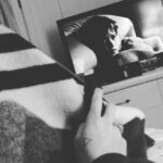 Daveigh Chase Instagram – The perfect late night movie. #iseedeadpeople 👻
