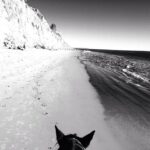 Daveigh Chase Instagram – Its all about Perspective