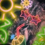 Daveigh Chase Instagram – F*** LA said miss Crenshaw. She wants to be a Meowi girl lol.. (miss u ggb @gaiagoldenbrown u need to meet ur nieces) #islandvibes 🌴