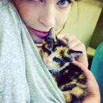 Daveigh Chase Instagram – My little Angel Baby Blue Eyes 😇 #catdiaries #prettykitty #Daveigh #Baby #babyblues #Angel
