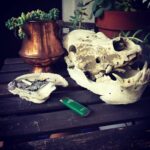 Daveigh Chase Instagram – Rawr