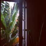 Daveigh Chase Instagram - Migos