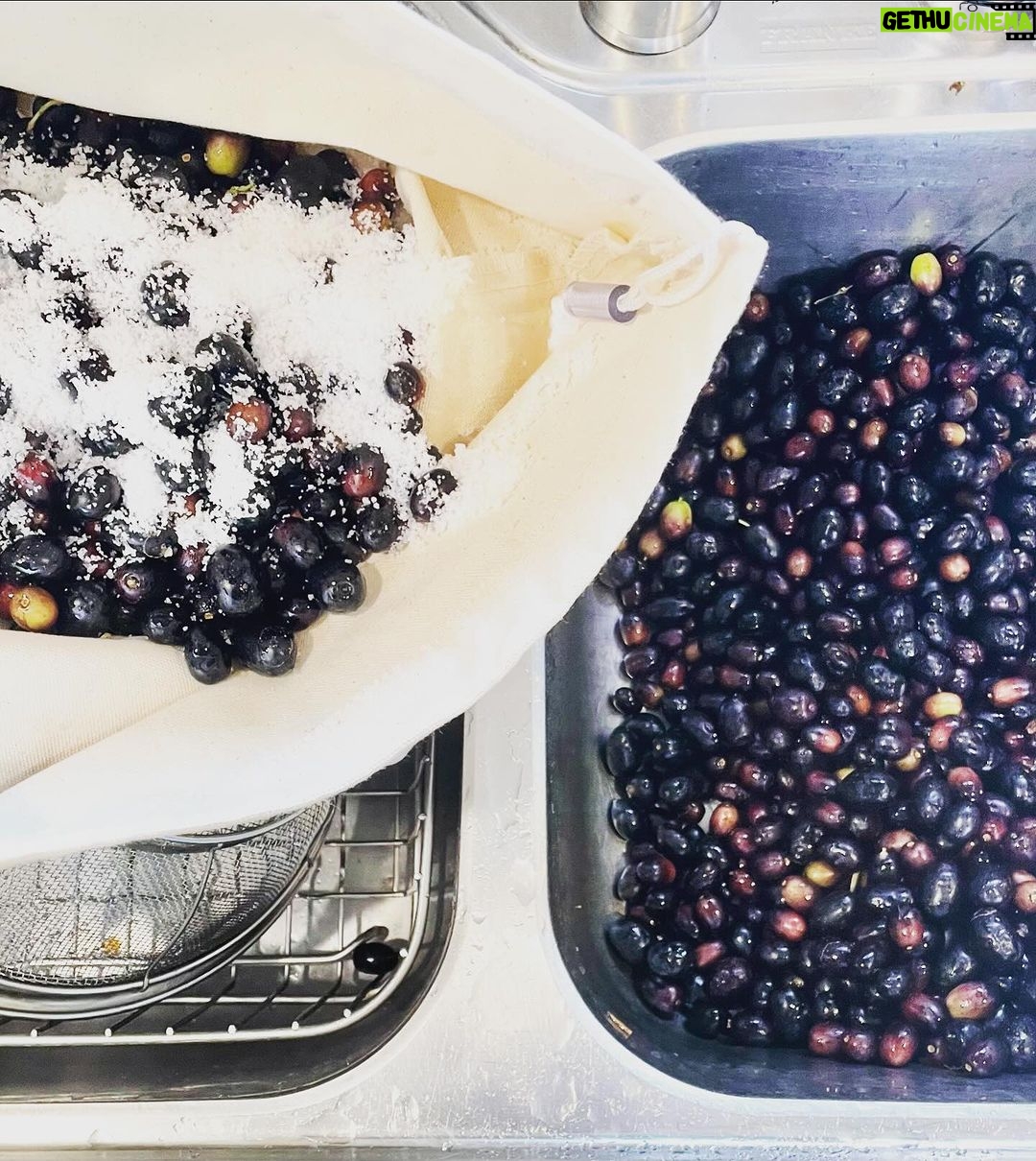 David Alan Grier Instagram - Olives, olives everywhere! Stay tuned! 🫒