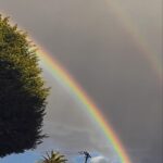 David Alan Grier Instagram - A seent a double rainbow tiday! Somethin finna happen 😐