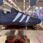 David Beckham Instagram – 1994 Predator to today’s 2024 Predator 🔥 30 years of predator wow… special boot ⚽️ @adidaskr and a special guest @hoooooyeony 🙌🏼 Seoul, Korea