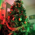 David Cristina Instagram - 11 de Novembro e árvore montada, a Mariah estaria orgulhosa. E sim, a árvore está decorada em shuffle, porque filhos. Feliz Pré-Natal. Parque Eduardo VII