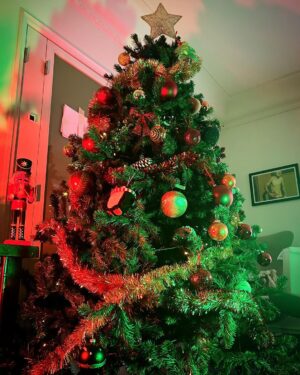 David Cristina Instagram - 11 de Novembro e árvore montada, a Mariah estaria orgulhosa. E sim, a árvore está decorada em shuffle, porque filhos. Feliz Pré-Natal.