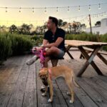 David Cristina Instagram – Se a Sheila aprender a tirar fotos para o instagram nunca mais preciso de ninguém.