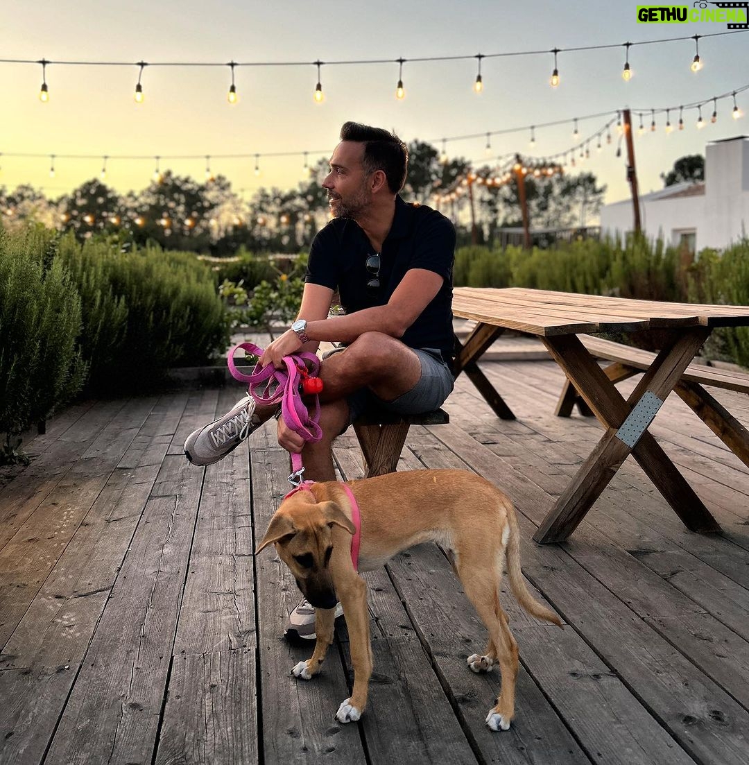 David Cristina - 508 Likes - Se a Sheila aprender a tirar fotos para o instagram nunca mais preciso de ninguém.