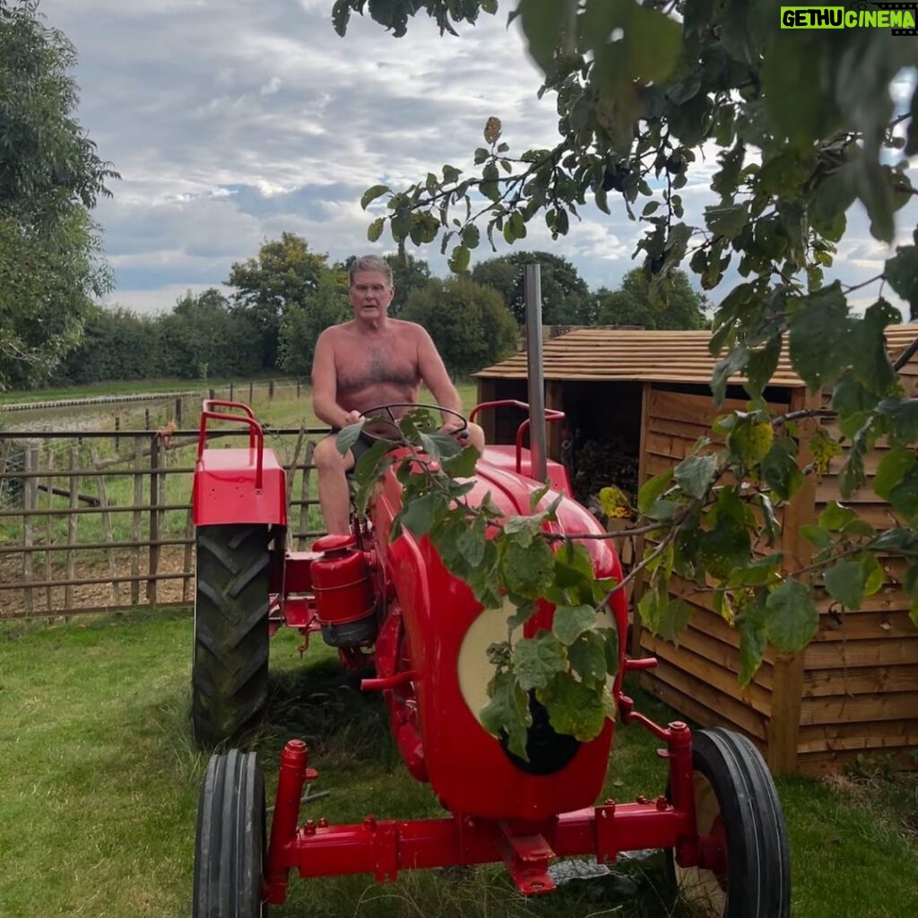 David Hasselhoff Instagram - Think I’d make a good English farmer 🇬🇧😆