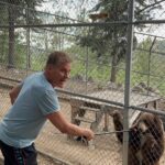 David Hasselhoff Instagram - Thanks to James and Diane for an amazing educational day and the sanctity of Wildhaven in Lake Arrowhead. We met Bayley and Zena all the animals are rescued! Lake Arrowhead, California