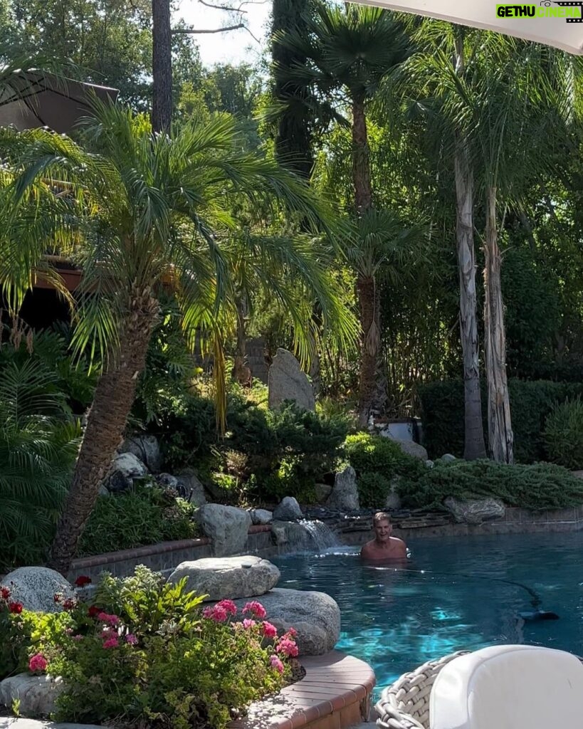 David Hasselhoff Instagram - Backyard chilling 😺